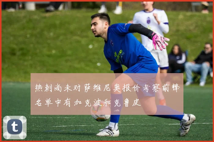 热刺尚未对萨维尼奥报价考察前锋名单中有加克波和克鲁皮